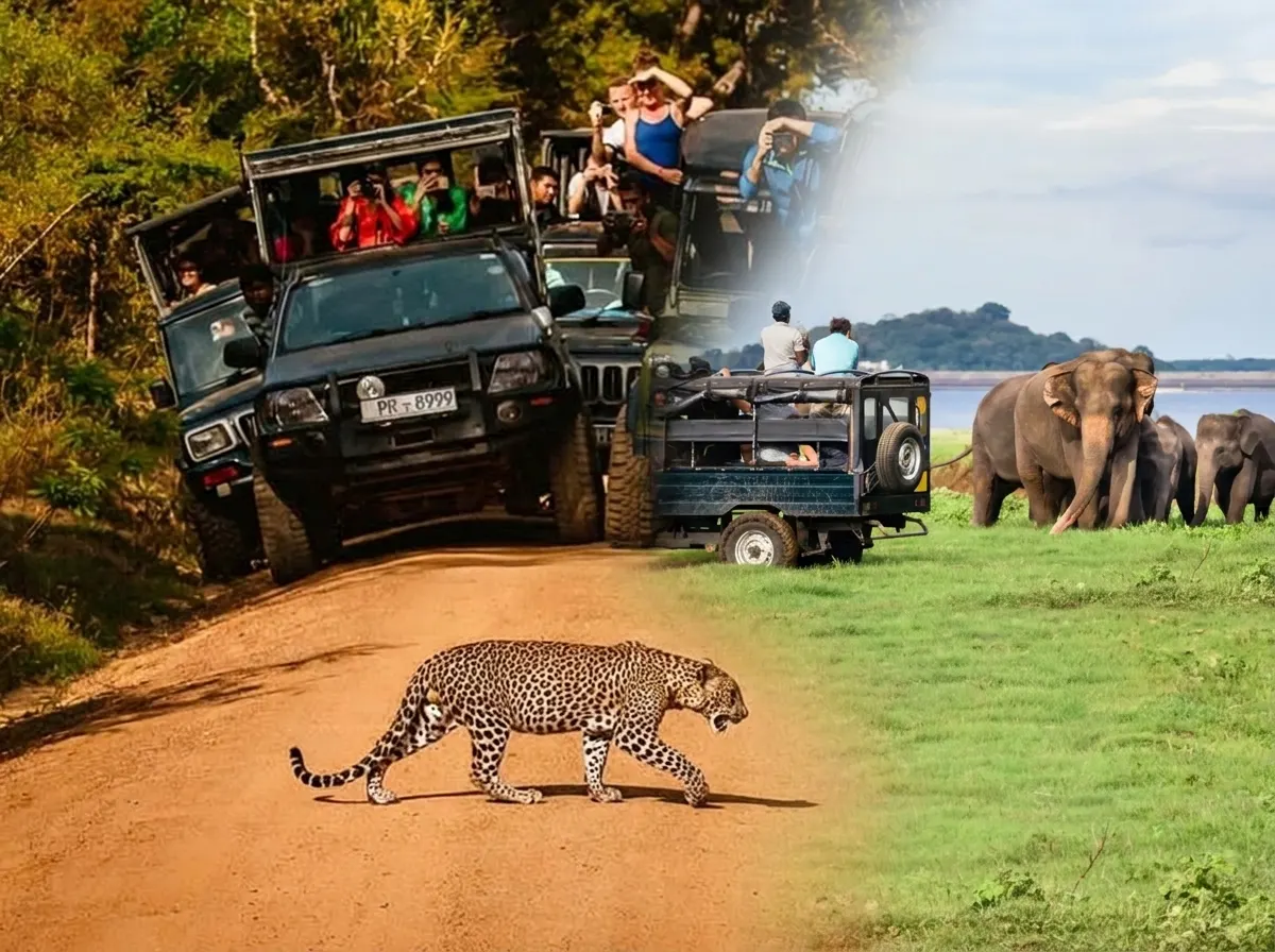 Srilanka